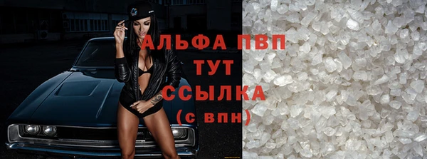 стафф Алексин
