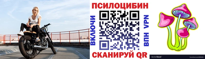 Галлюциногенные грибы Cubensis  Пермь 
